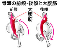 骨盤の傾きと大腰筋