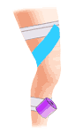 膝後十字靭帯テーピングアニメ
