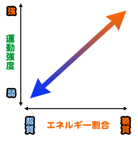 糖質と脂質の運動強度とエネルギー割合グラフ