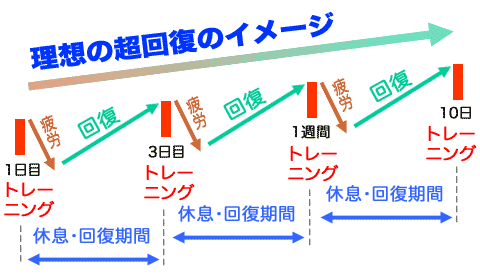 理想の超回復イメージ