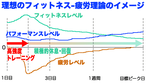 理想のフィットネス-疲労理論イメージ